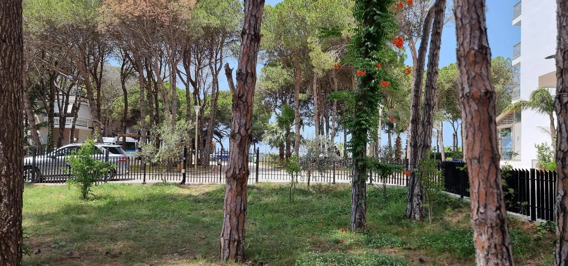 Bezhani Villa Golem  Albania